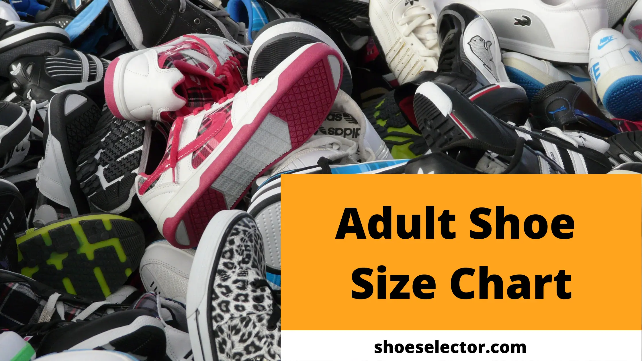 Adult Shoe Size Chart: How to Find the Perfect Fit