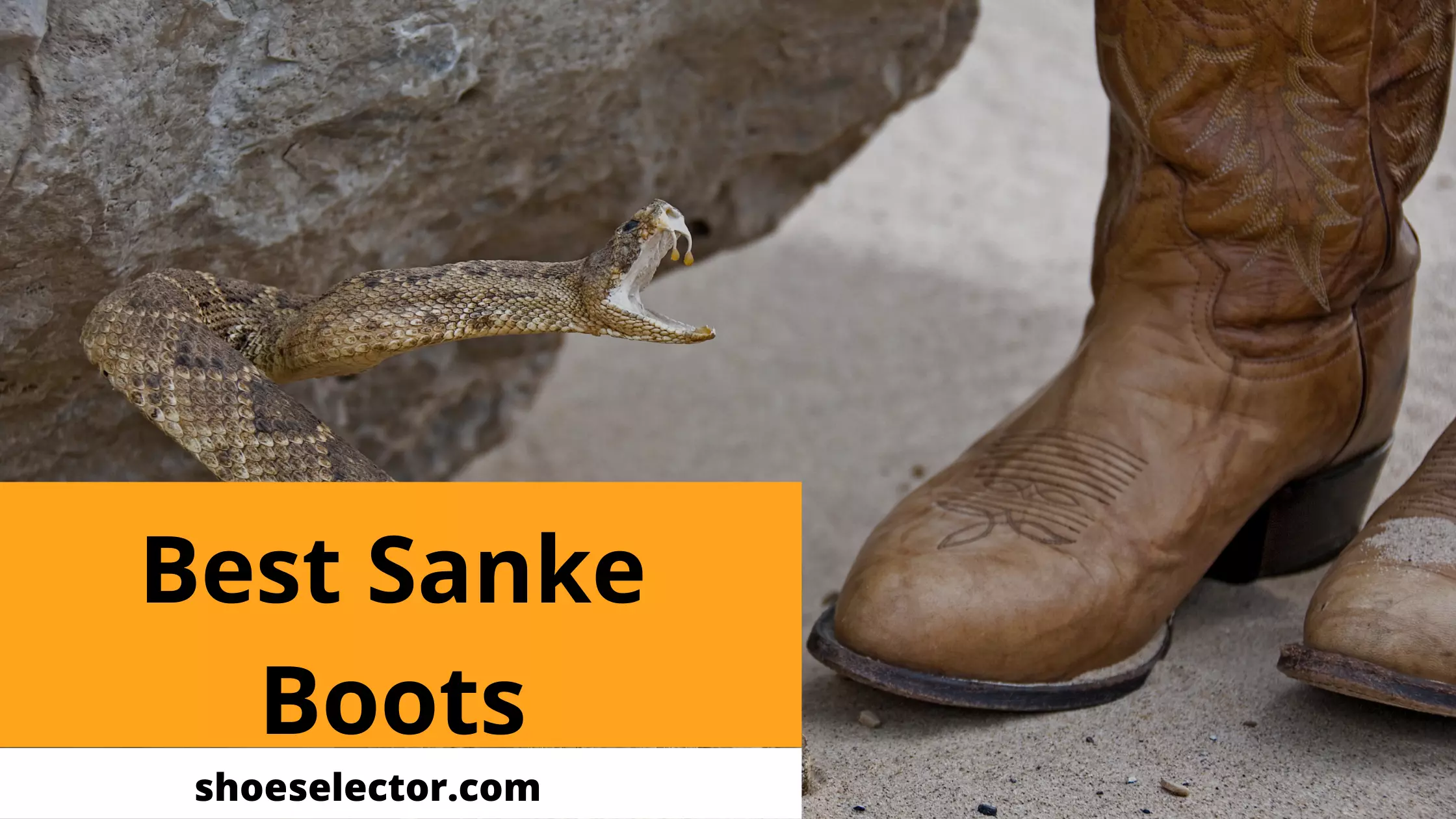 Best Snake Boots - Men And Women Buying Guide