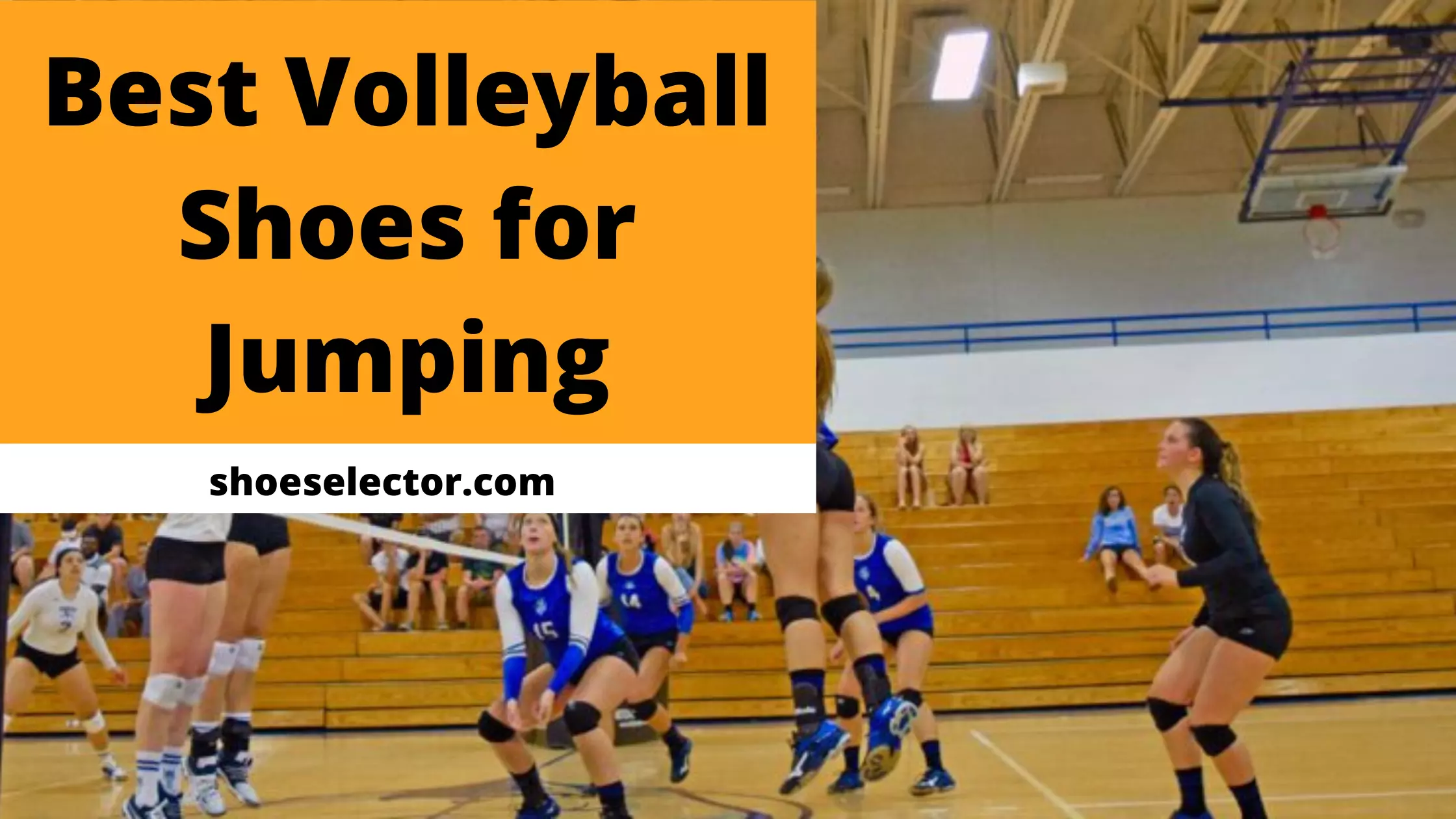 Best Volleyball Shoes For Jumping - Most Supportive Shoes