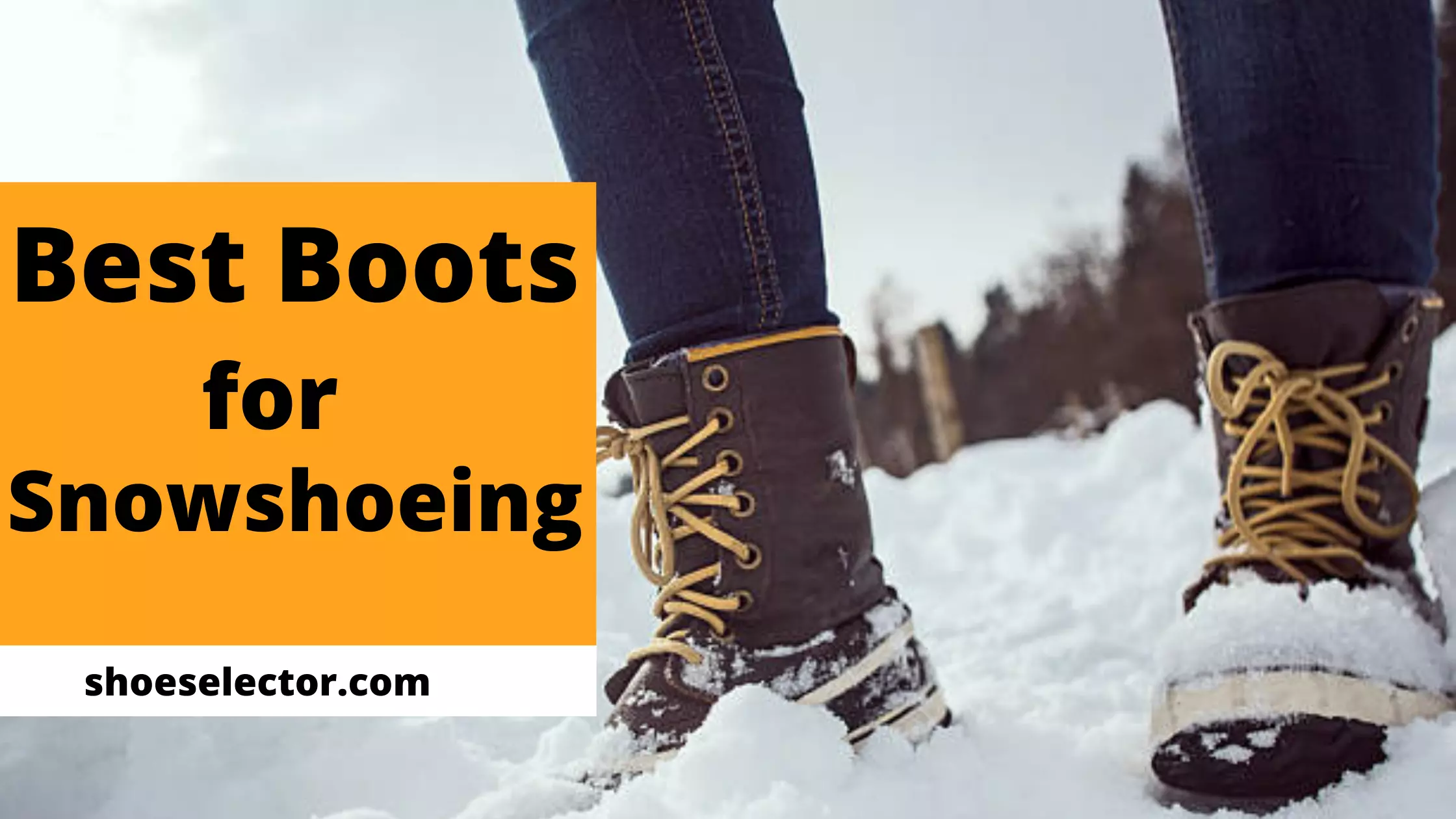 Best Boots for Snowshoeing Review [REVEALED Top Picks 2022]