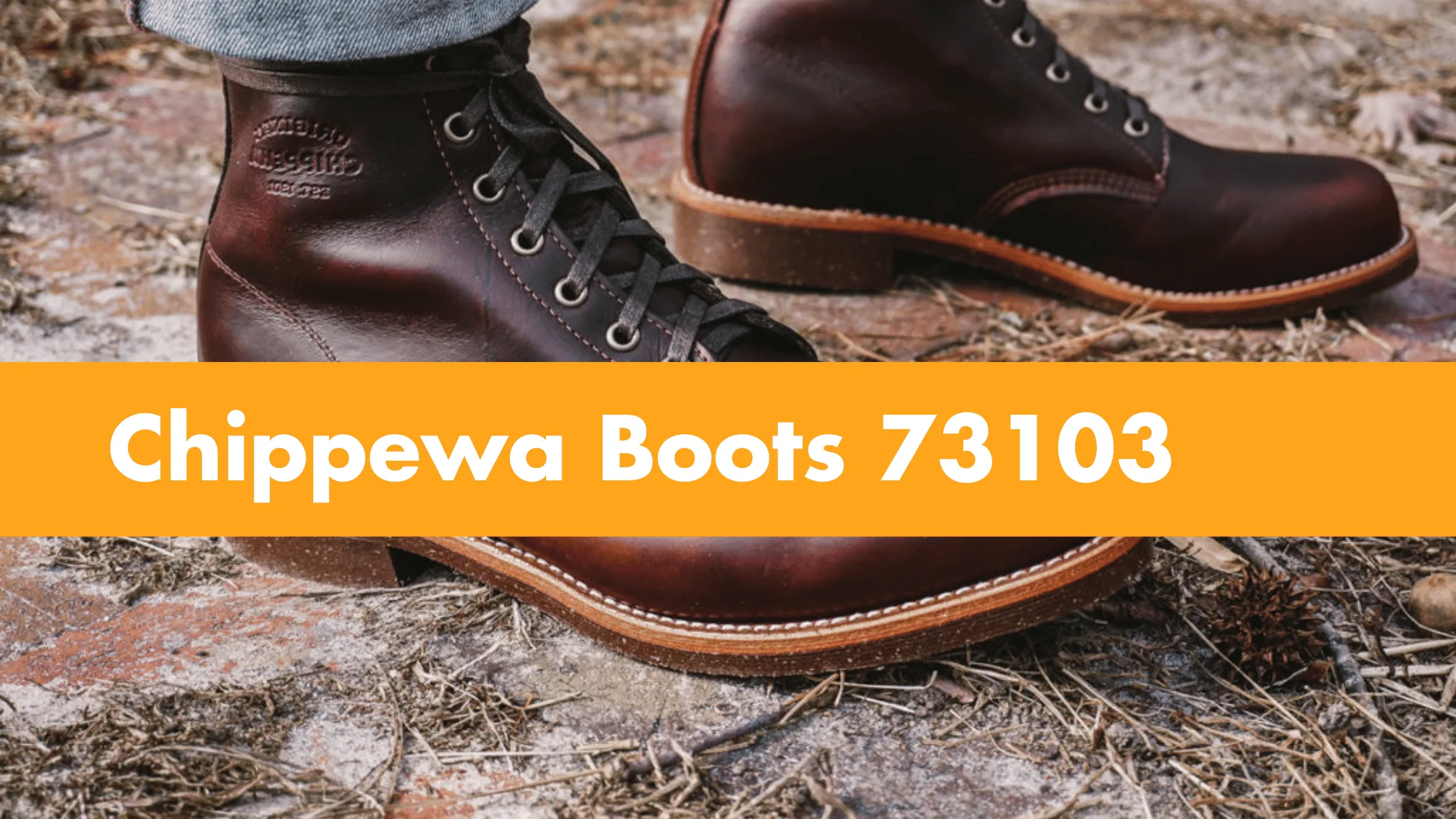 Chippewa Boots 73103