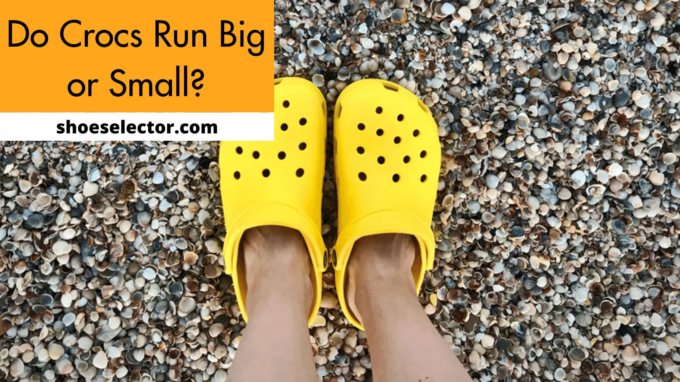 Do Crocs Run Big or Small? Quick Guide