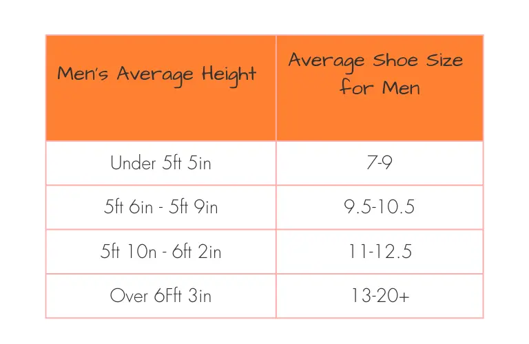 Average shoes size 