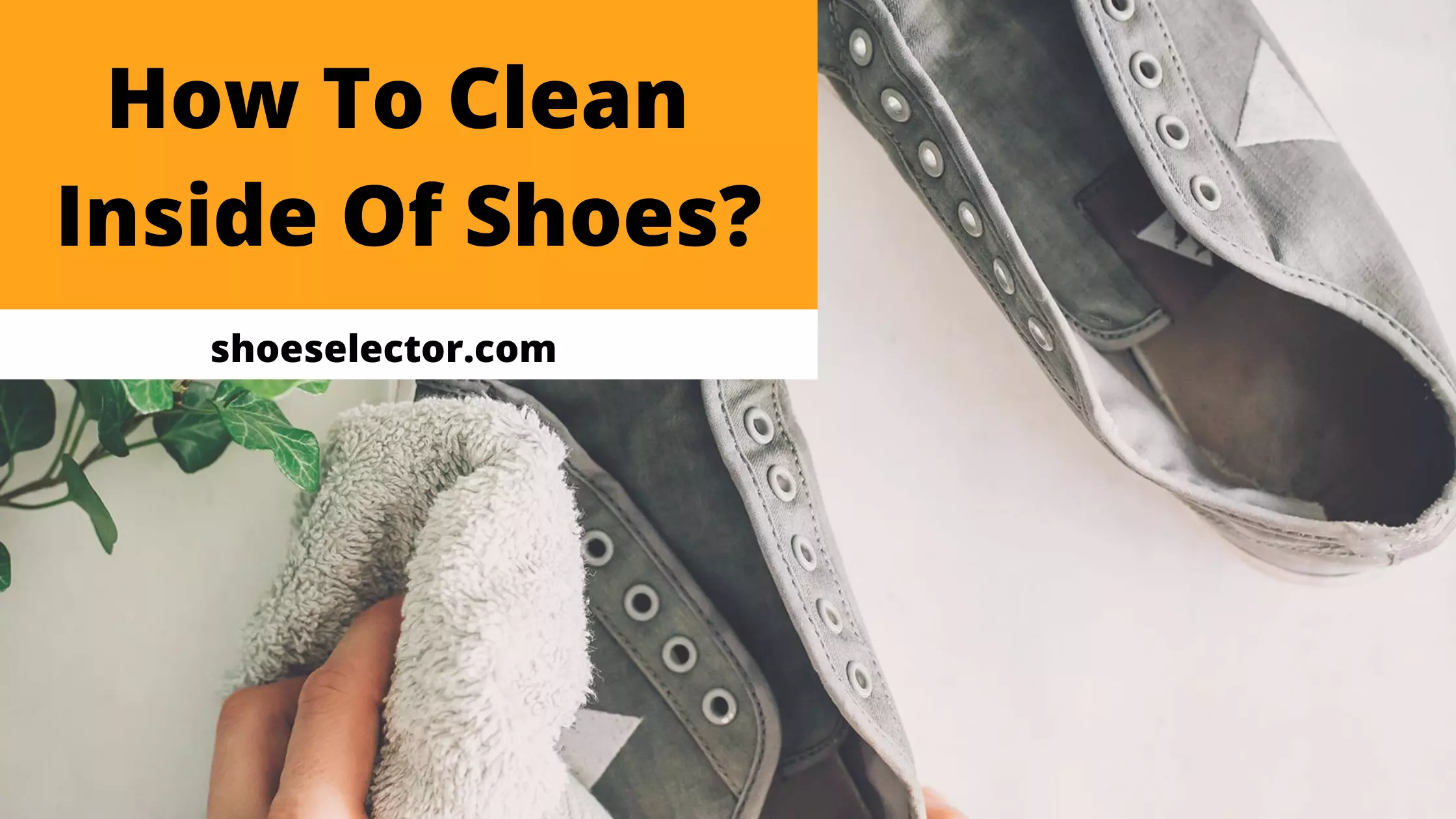 How To Clean Inside Of Shoes? - Complete Guide
