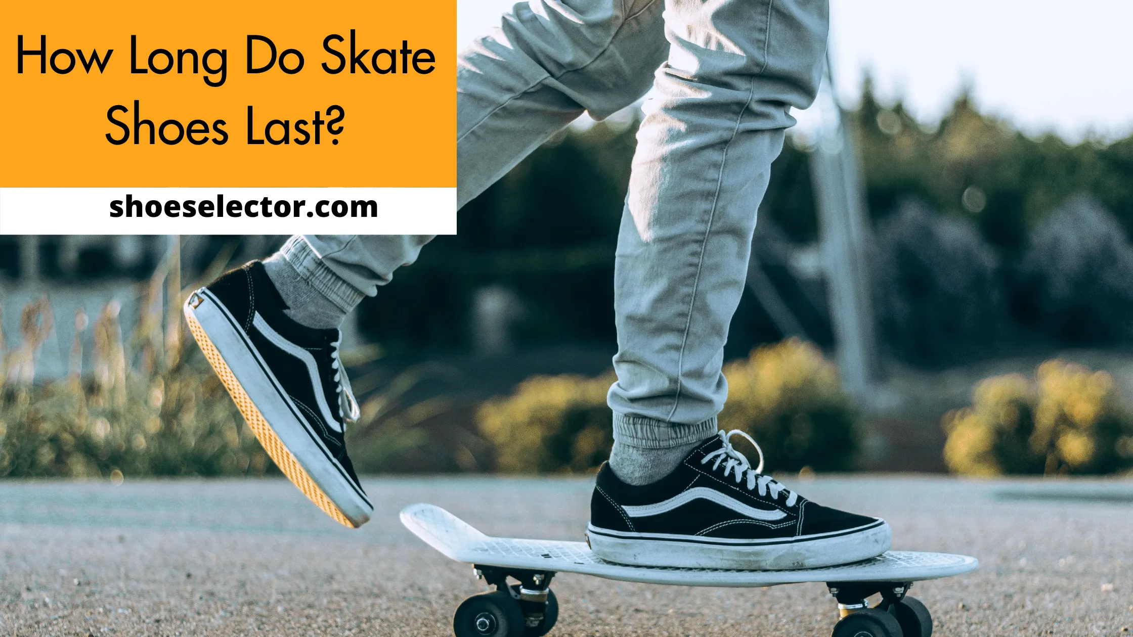 How Long Do Skate Shoes Last? - Quick Guide
