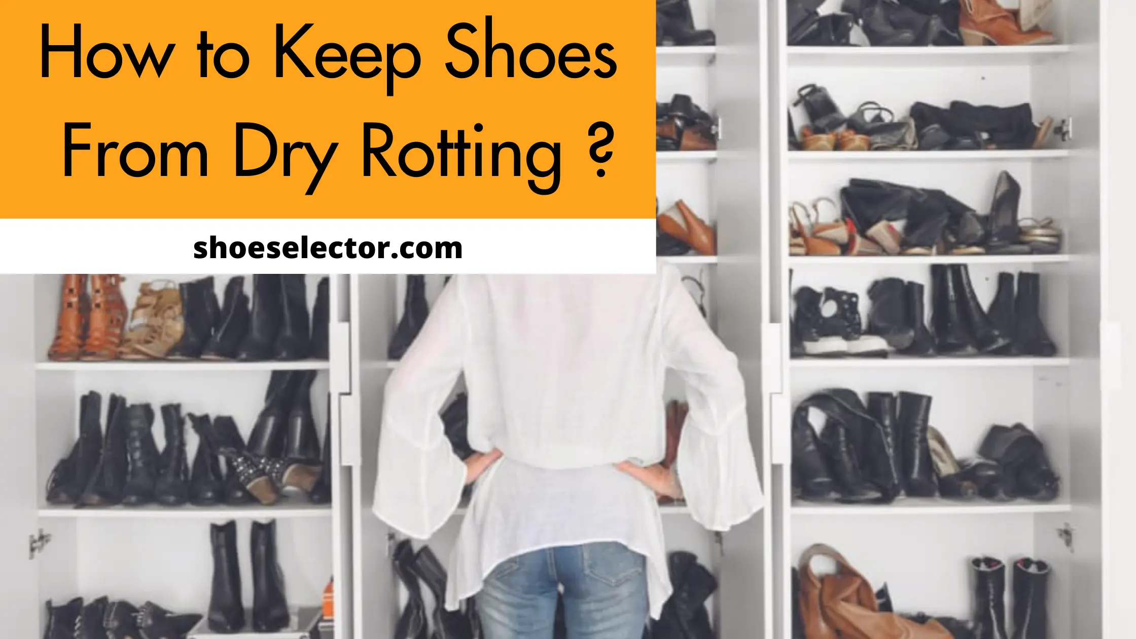 How To Keep Shoes From Dry Rotting? Recommended Guide