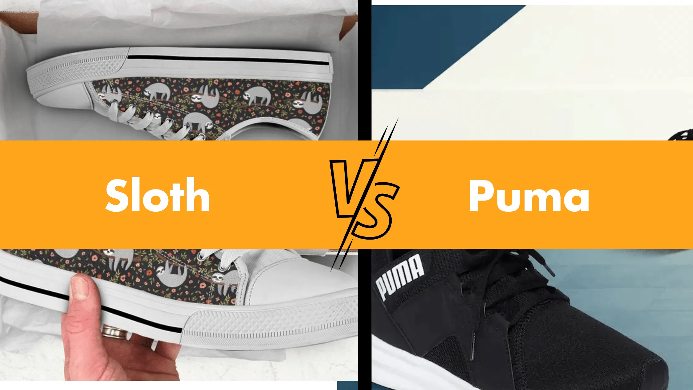 Sloth Vs Puma