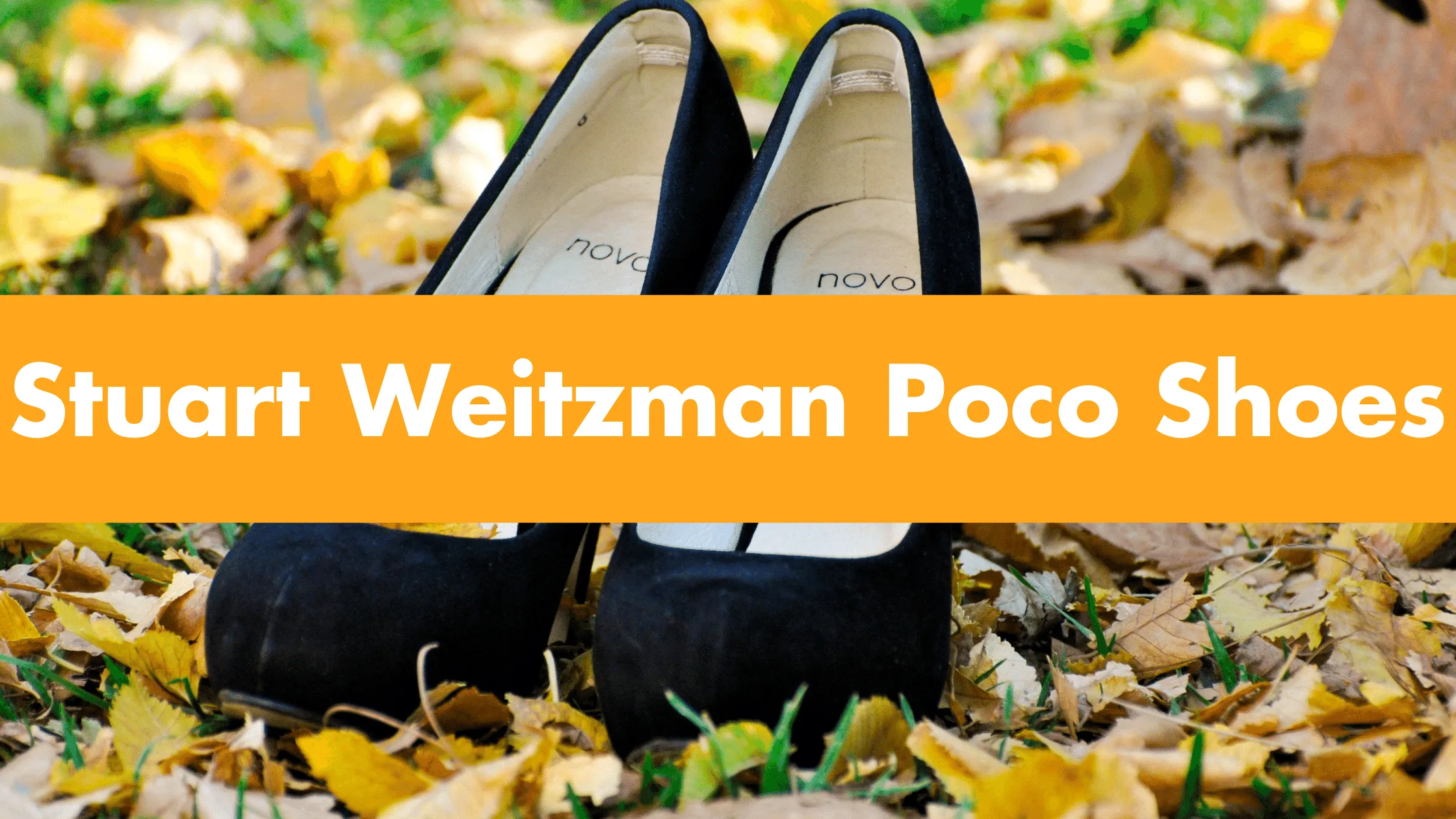 Stuart Weitzman Poco Shoes