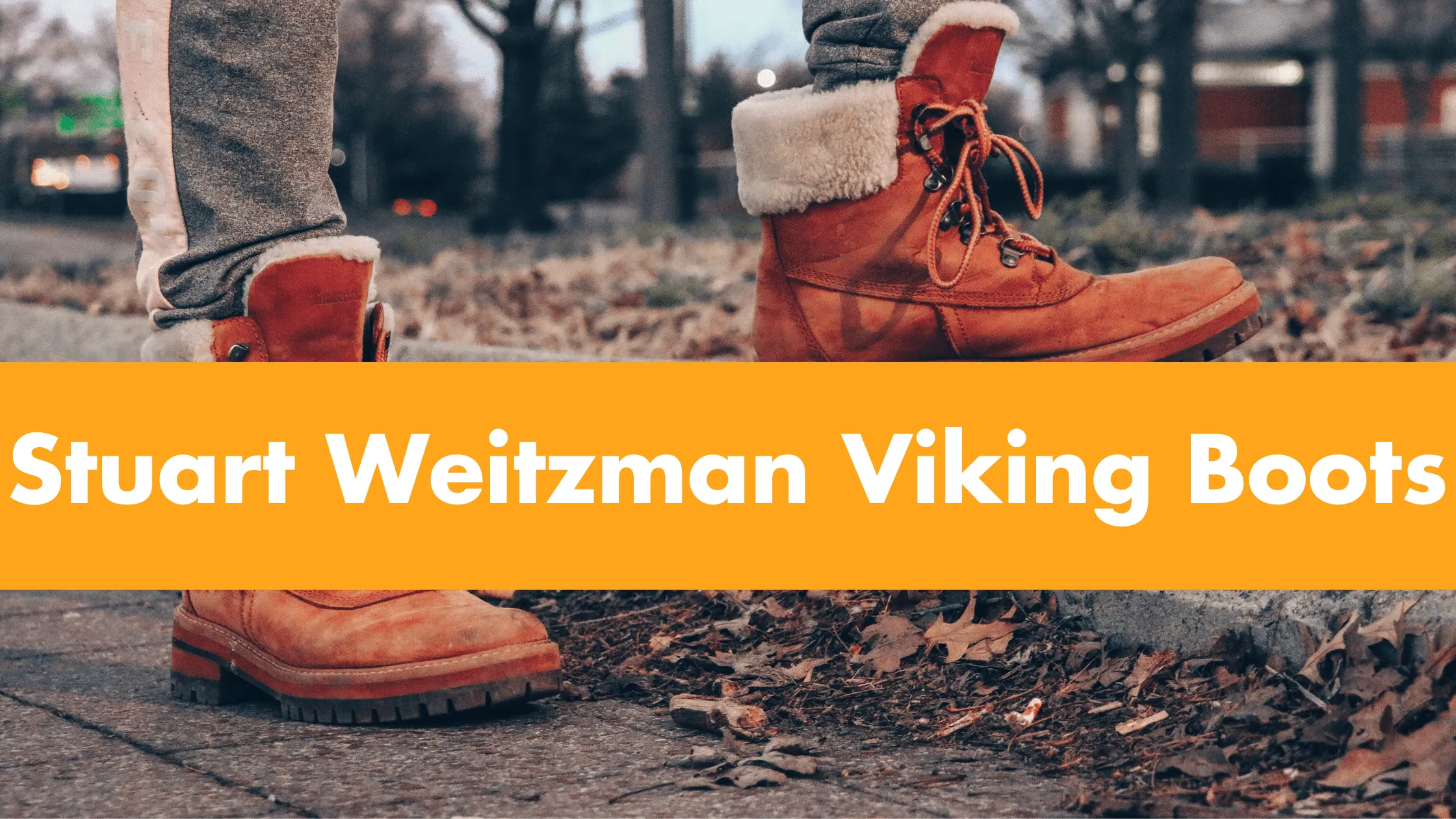 Stuart Weitzman Viking Boots