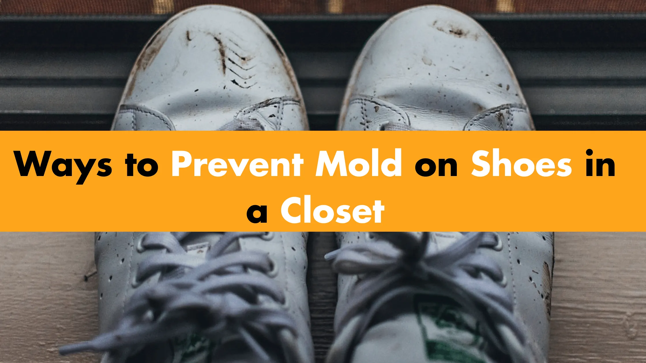 Ways to Prevent Mold on Shoes in a Closet