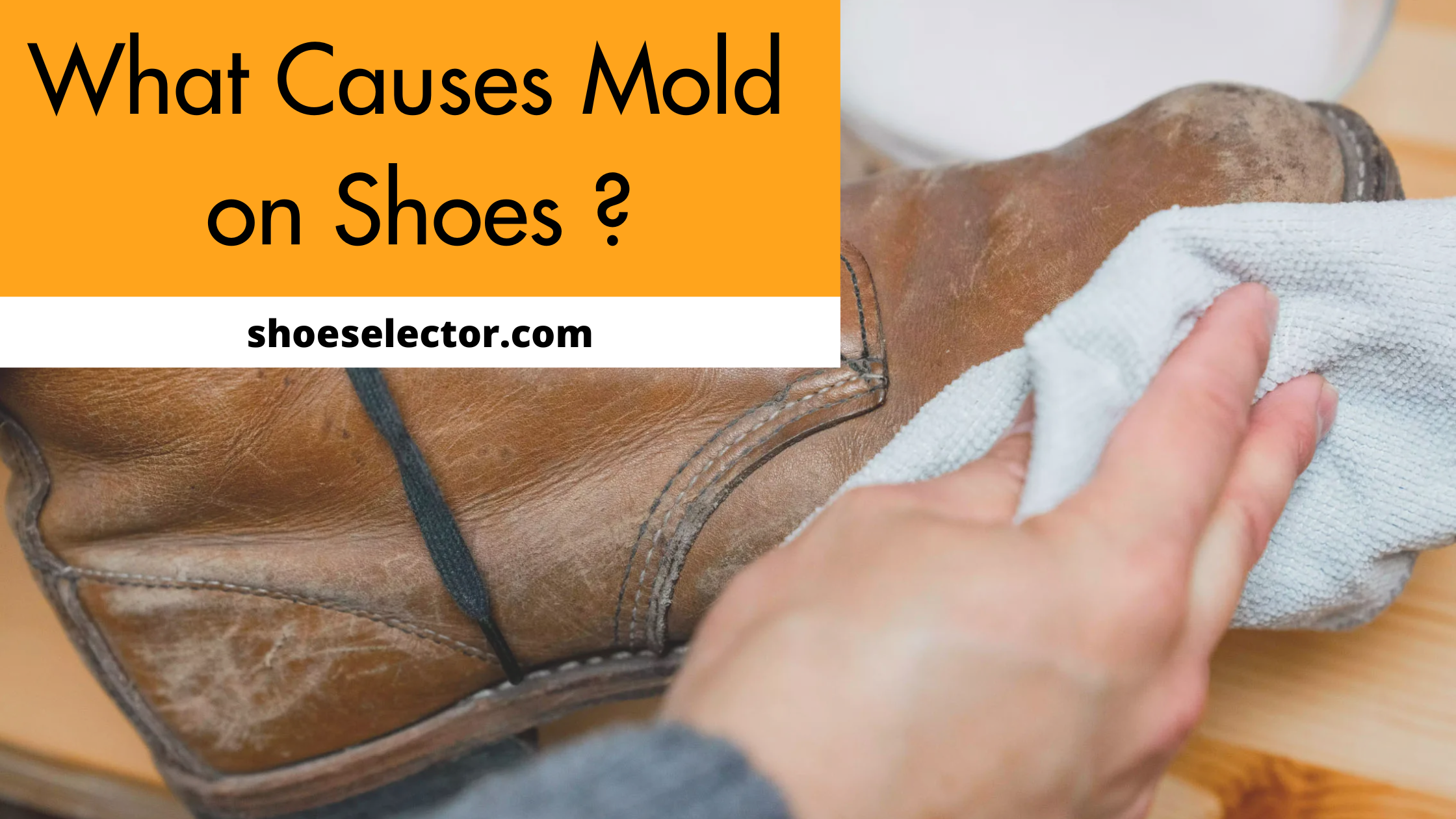 What Causes Mold On Shoes? - Recommended Guide