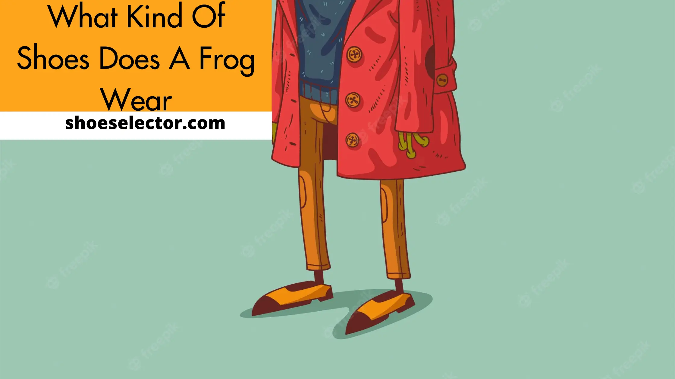 What Kind Of Shoes Does A Frog Wear?  - Complete Guide